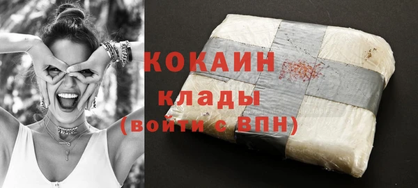 гидра Абаза