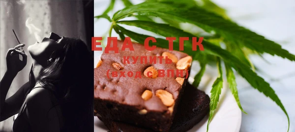 гидра Абаза