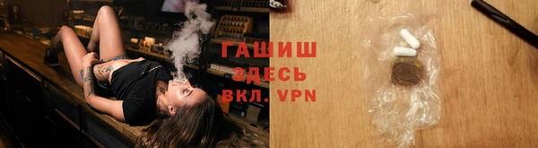 гидра Абаза