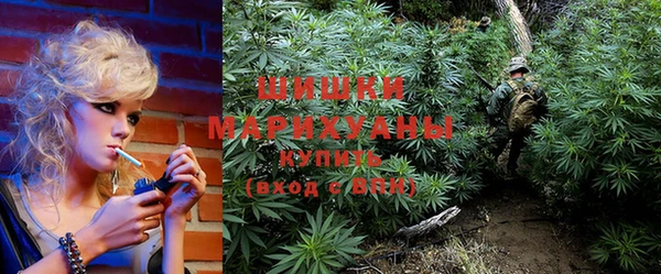 гидра Абаза