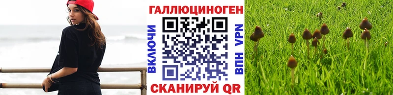 Галлюциногенные грибы мухоморы  Альметьевск 