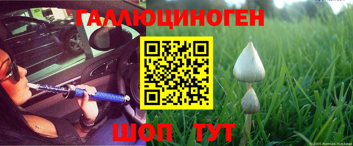 Псилоцибиновые грибы мухоморы Альметьевск